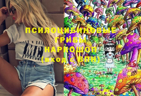 крисы Алзамай