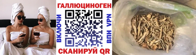 Галлюциногенные грибы мицелий  купить   Скопин 
