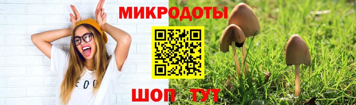 Скопин  Псилоцибиновые грибы MAGIC MUSHROOMS  Вход с VPN  Псилоцибиновые грибы прущие грибы 