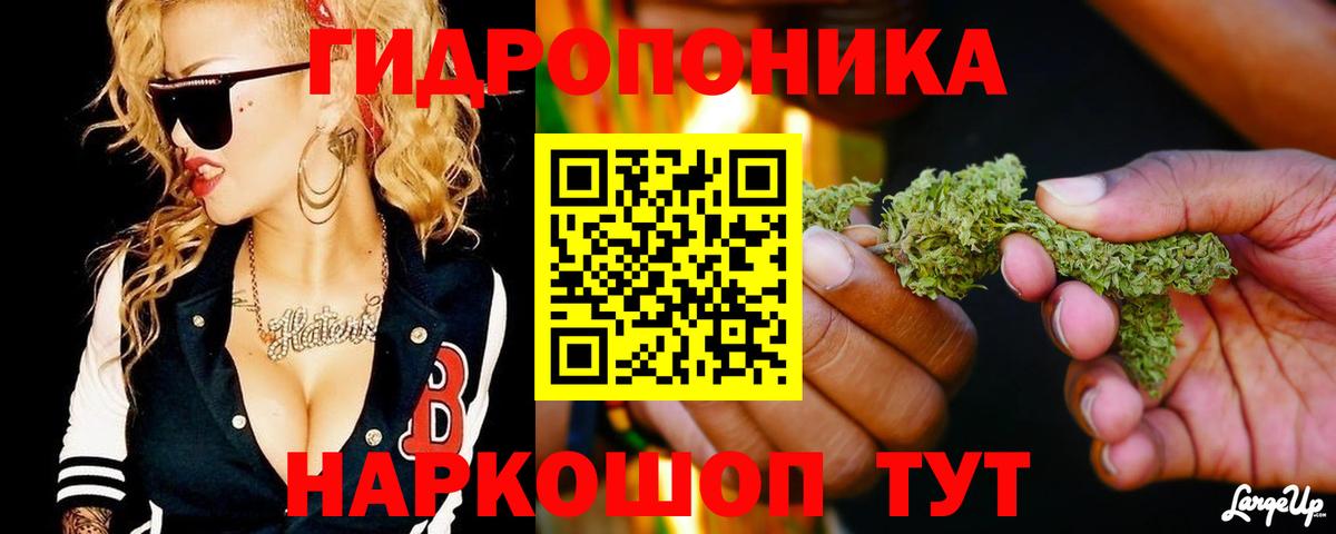 Бошки марихуана план Скопин